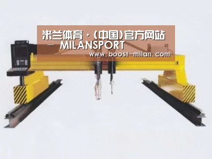 产品名称十八