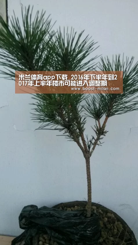 米兰体育app下载