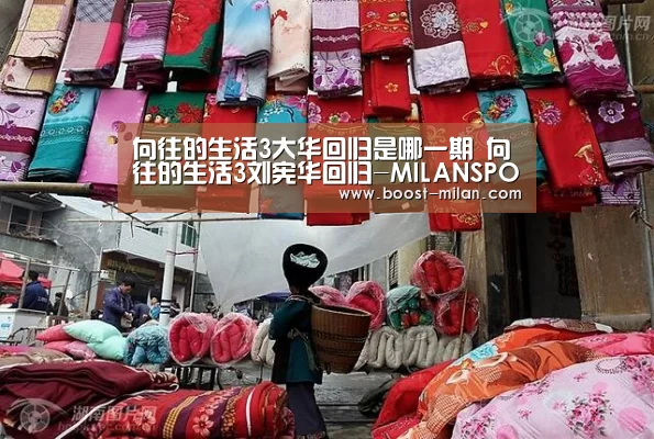 向往的生活3大华回归是哪一期 向往的生活3刘宪华回归-MILANSPORT入口