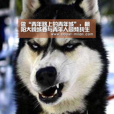 做“青年路上的青年城”，朝阳大悦城要与青年人同频共生‘MILANSPORT下载’